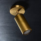 Cameron Adjustable Flushmount Brass