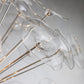 Lily Round Chandelier 25'' 34'' 43''