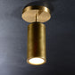 Cameron Adjustable Flushmount Brass