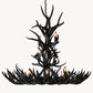 NATURAL ANTLER CHANDELIER 48"